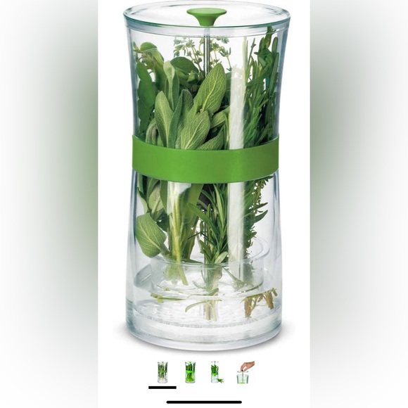 CUISIPRO Herb Keeper, Large, Clear - Picture 3 of 5